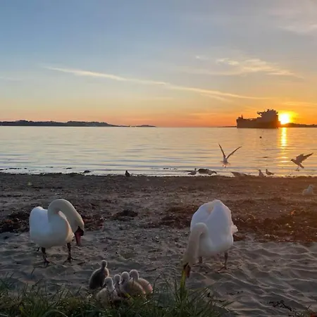 Best View Beach Front Apartment Apartment *