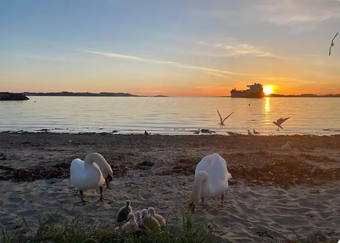 View Front 아파트 *